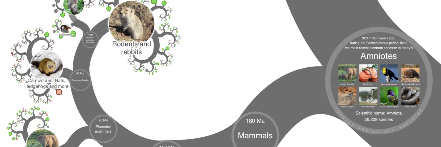 OneZoomTree's profile banner image