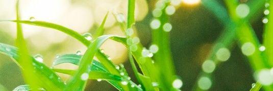 ojumuwilliams's profile banner image