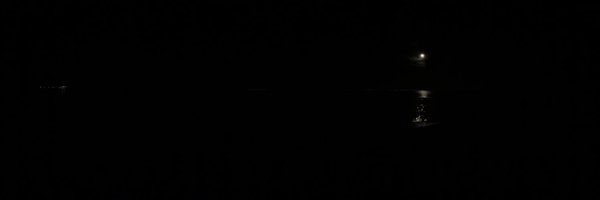 David_Guest Profile Banner