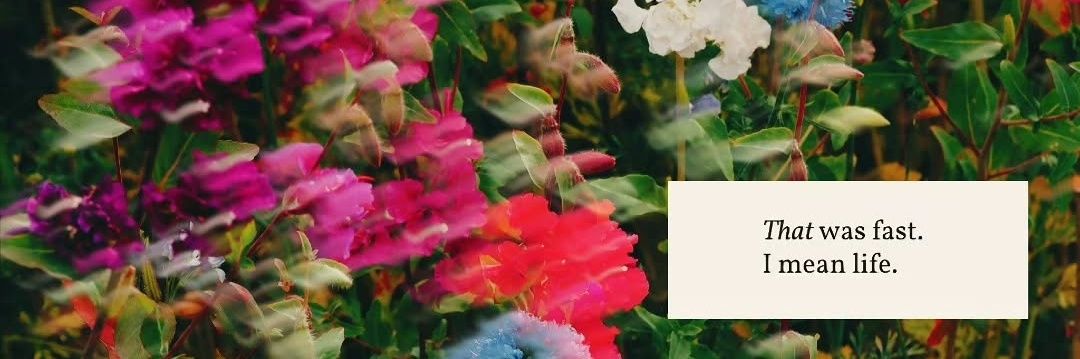 mii_diz's profile banner image
