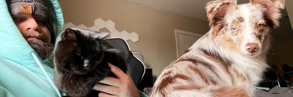 skunkodor's profile banner image