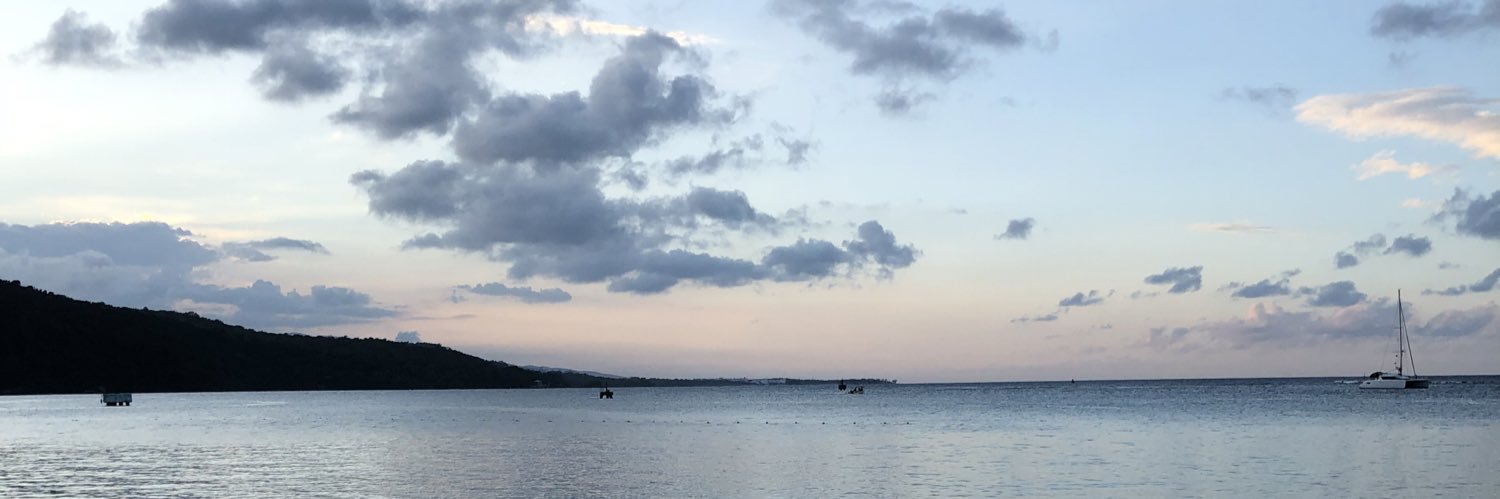 AlisonMunro's profile banner image