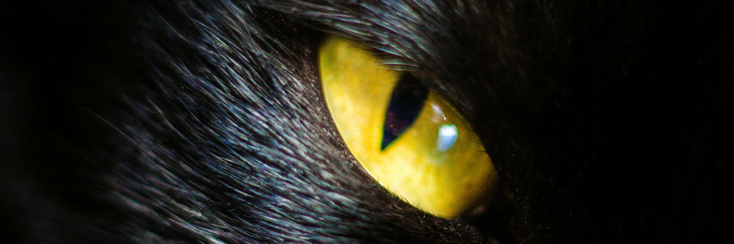 eddy_zn's profile banner image