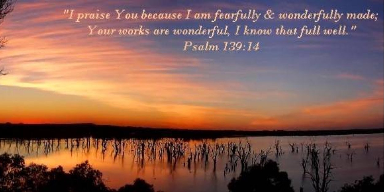 CassidyDeBose's profile banner image