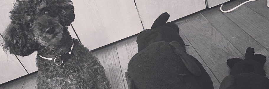 psypom's profile banner image