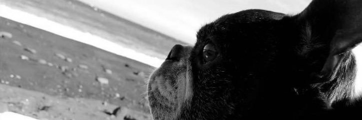 3lubd_'s profile banner image