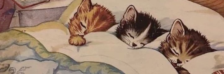 Ana Diman banner