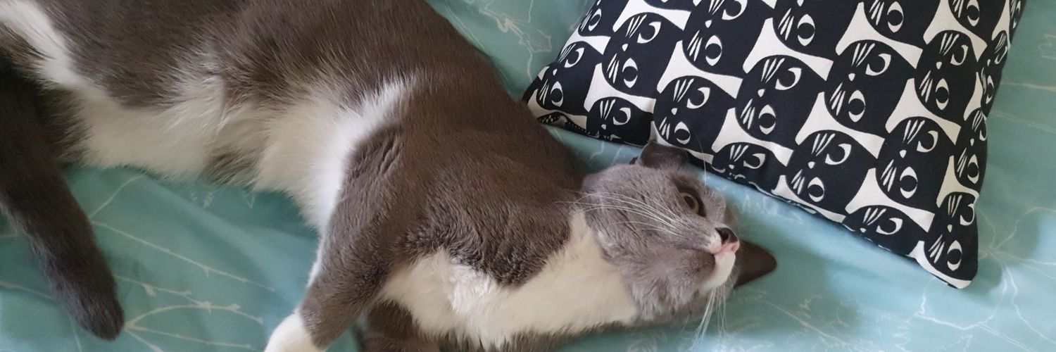 KateMalik18's profile banner image