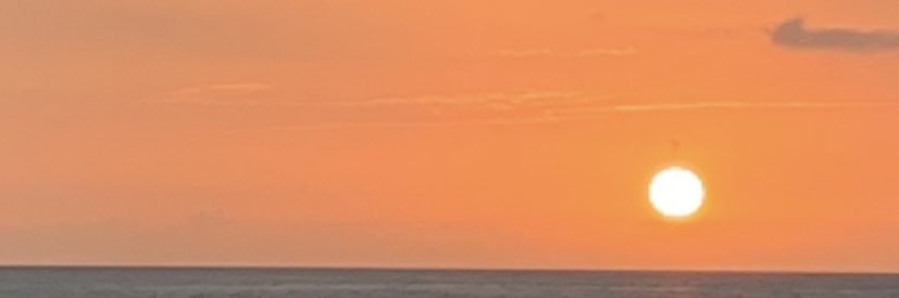 irenechinchi's profile banner image