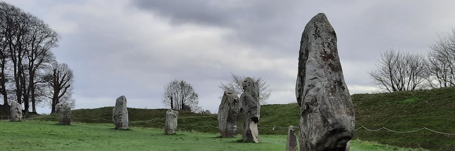 flashman230's profile banner image