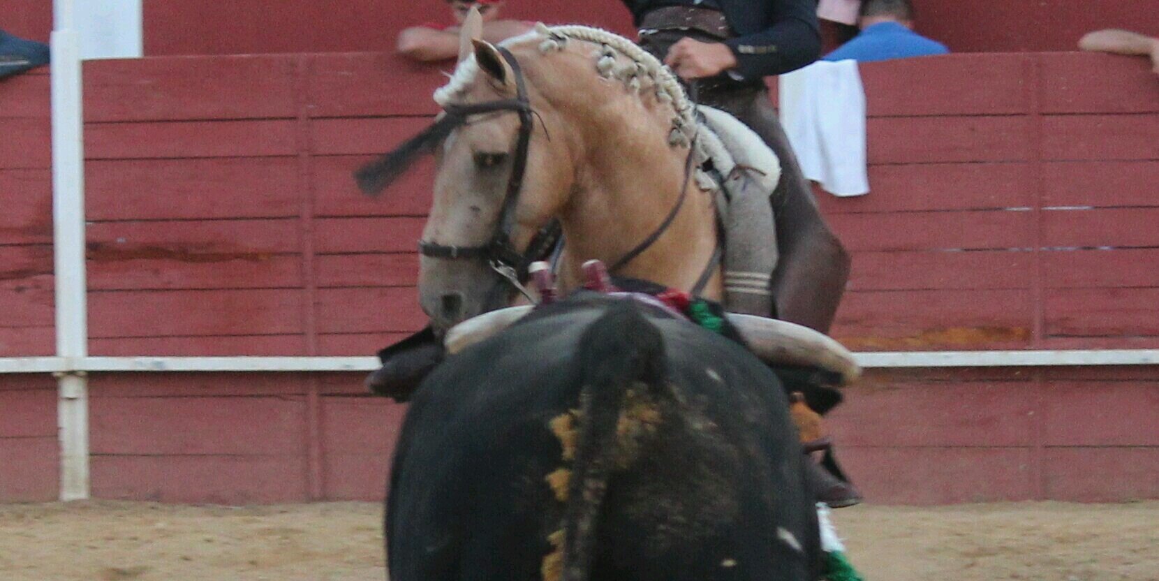 manuel moreno banner