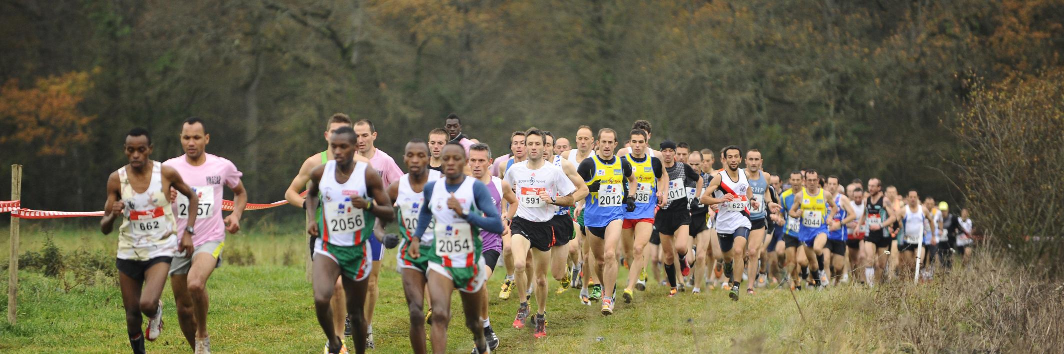 Loïc RAPINEL banner