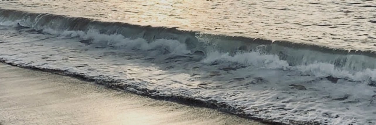 nadine banner