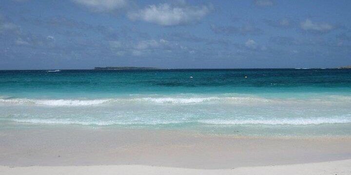 Roberta Jacobs banner