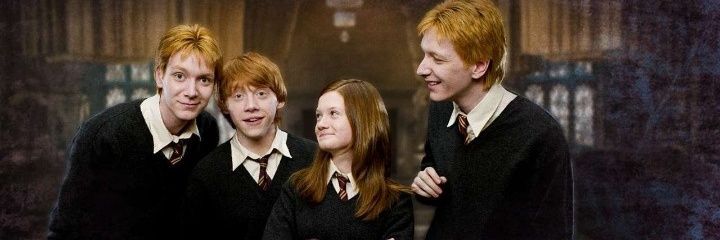 👻 Fred Weasley 🎉 ( Parody) banner