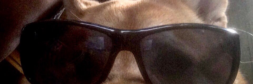 grumpydevil's profile banner image