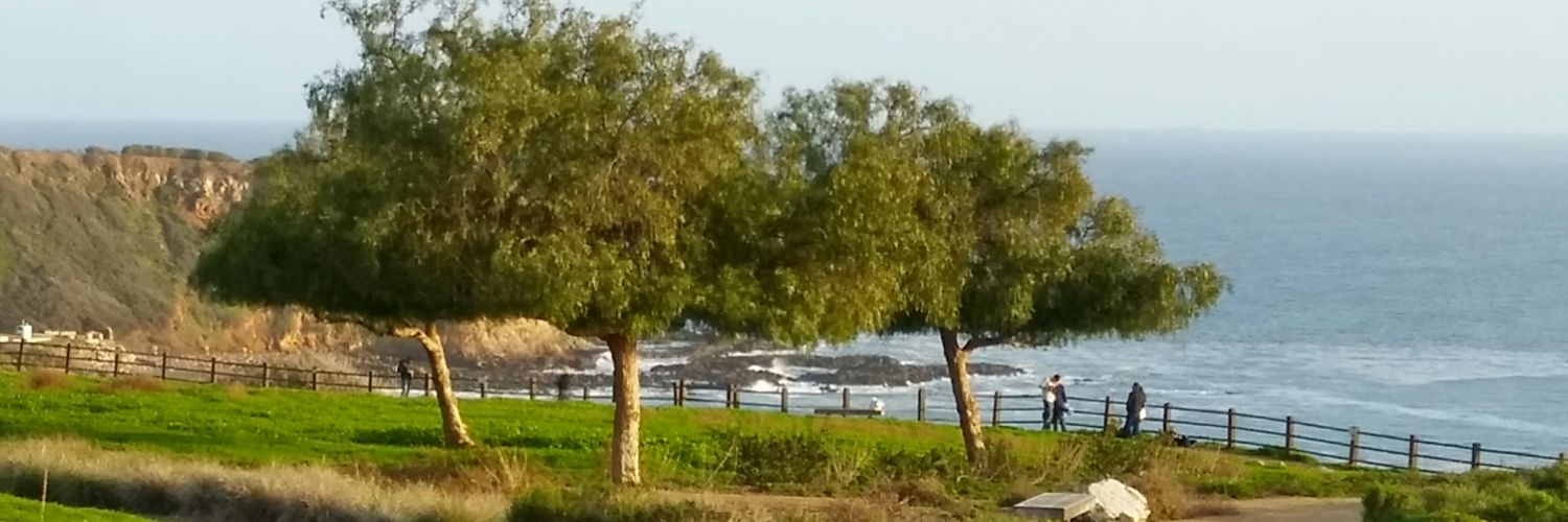 MSALMADA's profile banner image