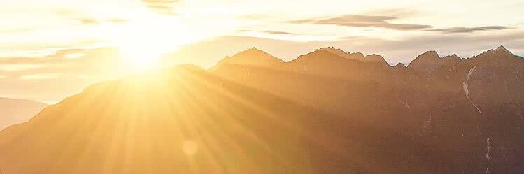 coco_dawson's profile banner image