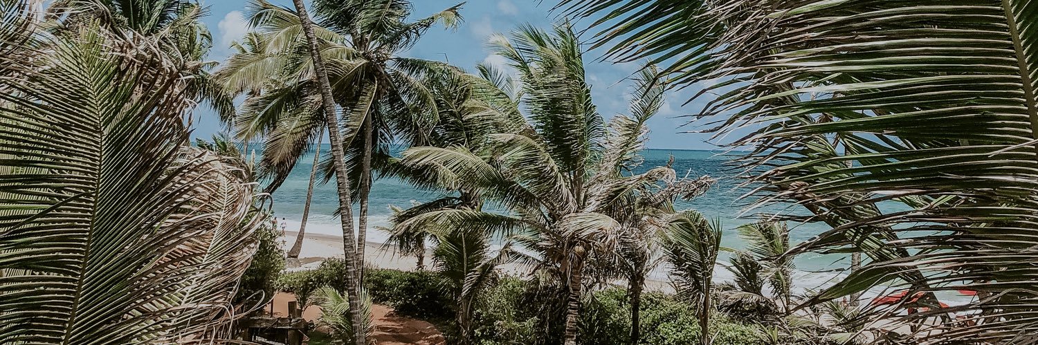 ianegomess's profile banner image