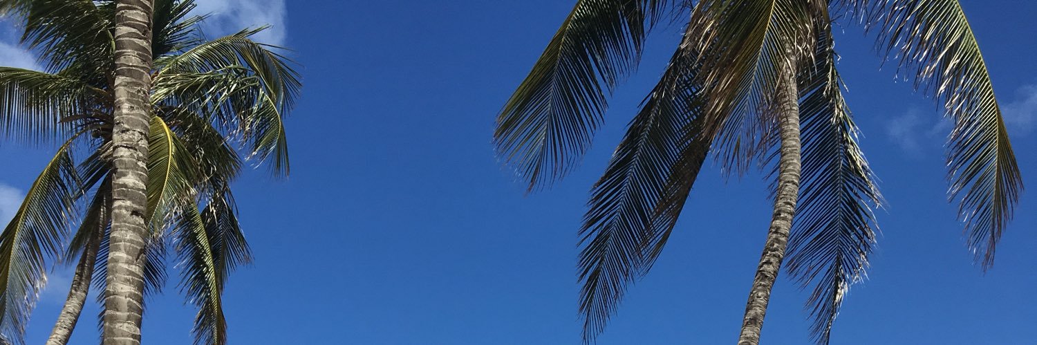 jacnier's profile banner image