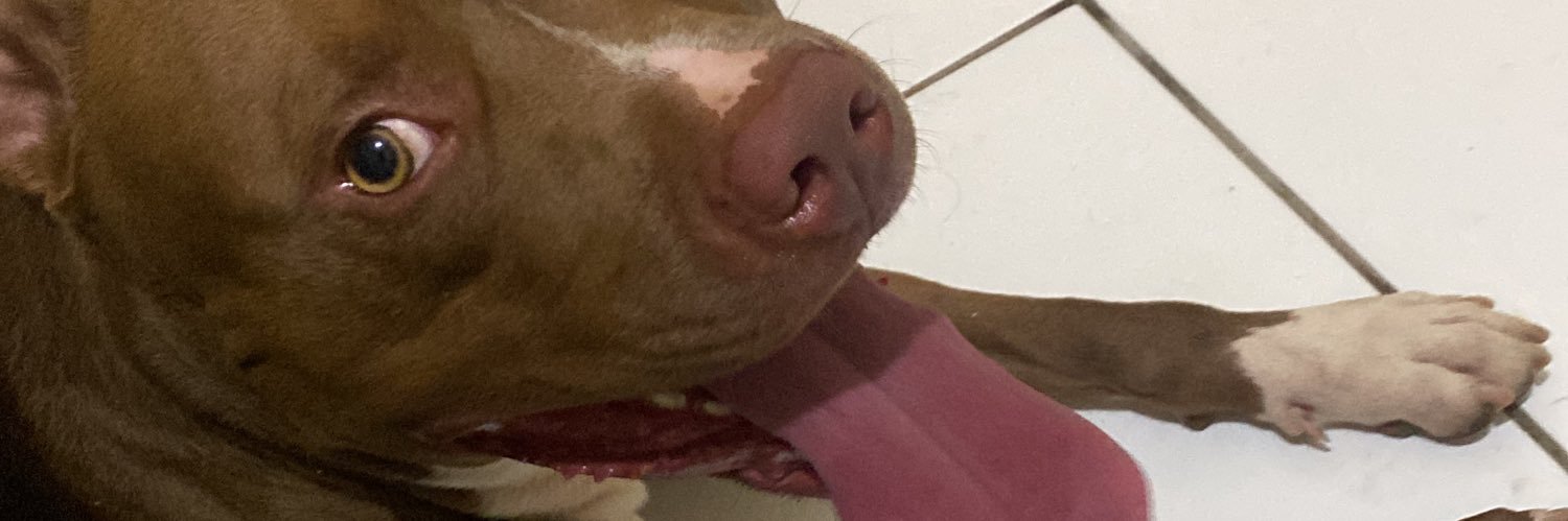 marieneess's profile banner image
