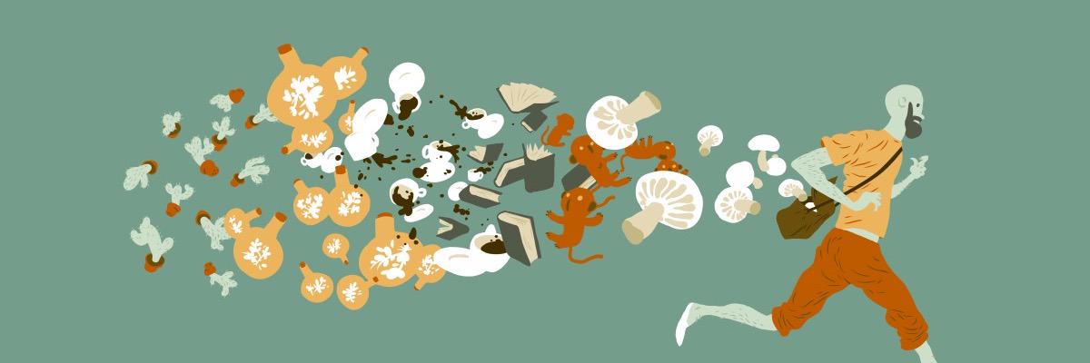 Francisco Lemos banner