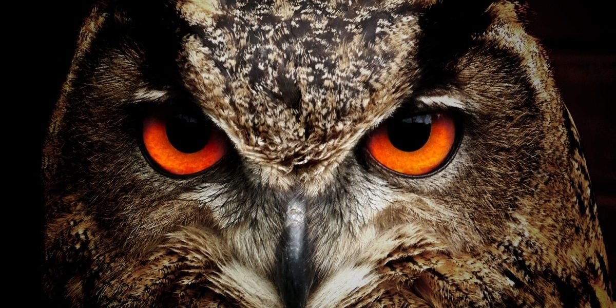 movedbythemoon's profile banner image