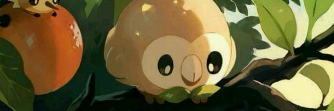 _chaotk's profile banner image