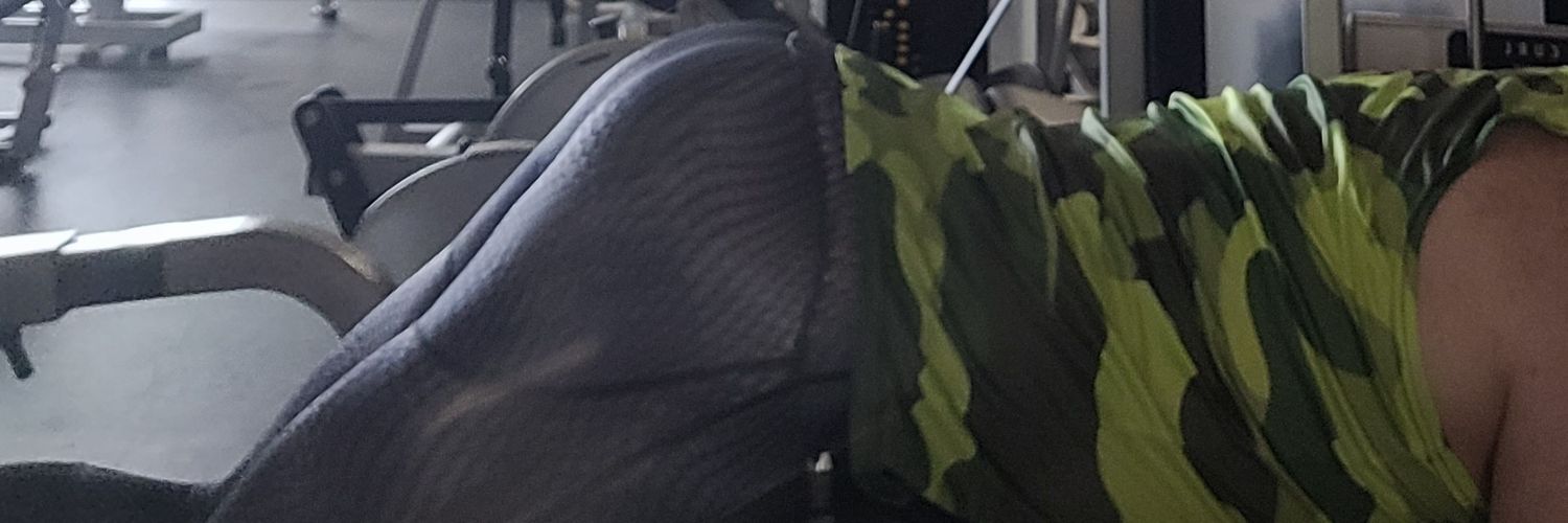 PuP_Hudson's profile banner image