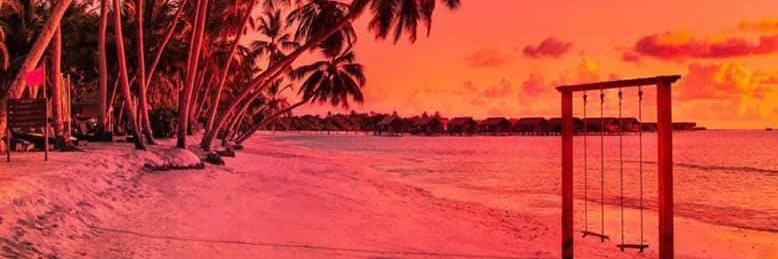 Howey1213's profile banner image