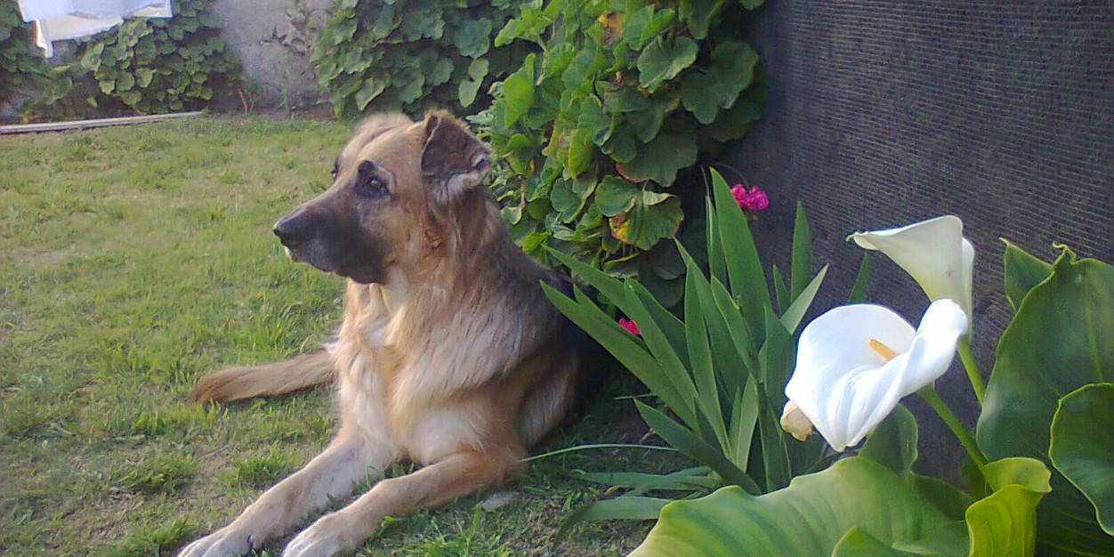 Orne_C's profile banner image