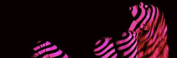 materialbxy's profile banner image