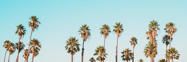 Caroline | Breaks.com banner