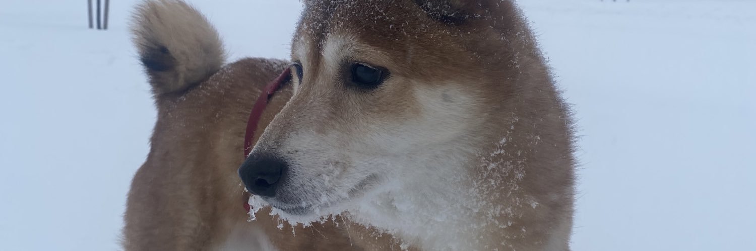 korbsssss's profile banner image