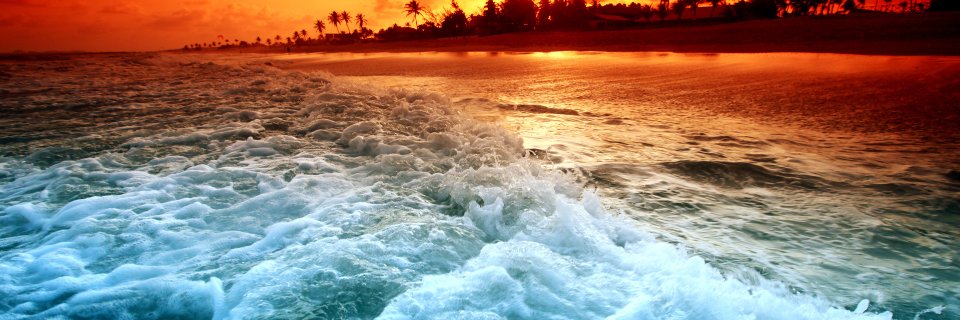fmdolfins's profile banner image