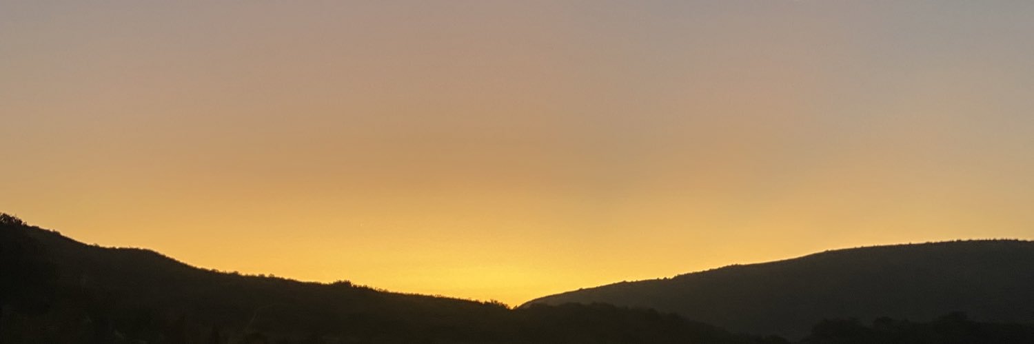 melizaa06's profile banner image