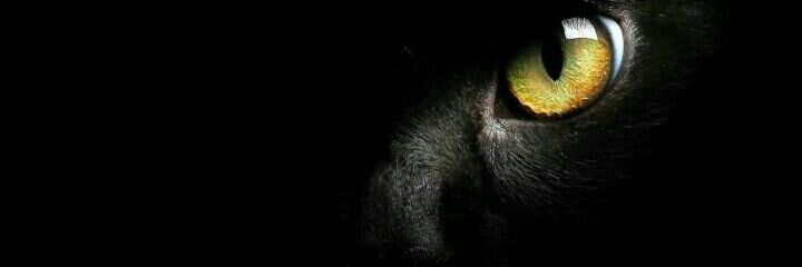 ab_al61's profile banner image