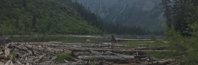 dylanbconnell's profile banner image