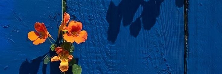 ProximaExtacion's profile banner image