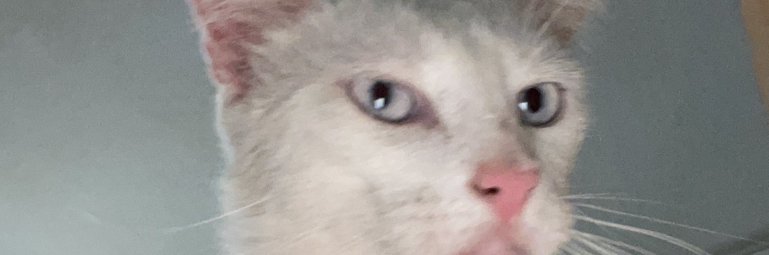 SelenaCastroM's profile banner image