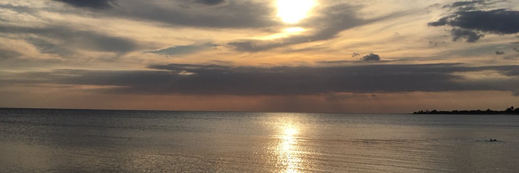 _gasser's profile banner image