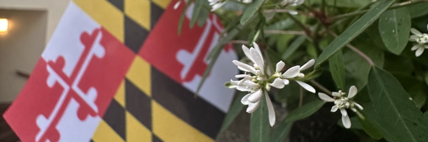 Max Grossfeld banner