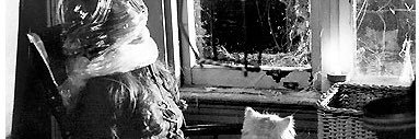 caseylewisss's profile banner image