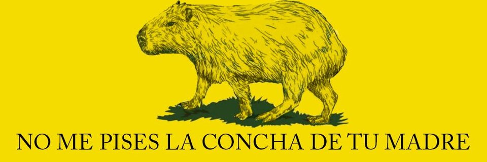Brunito banner