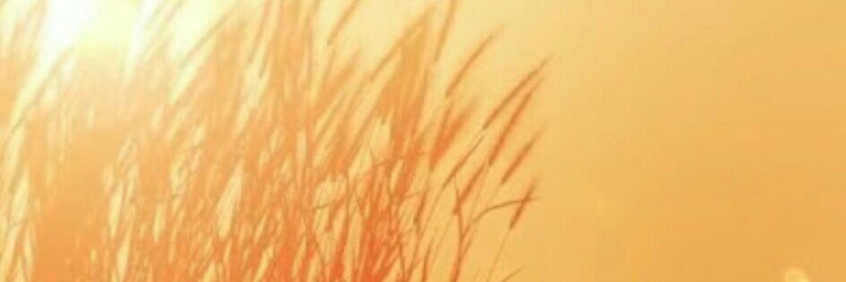 design3dfx's profile banner image