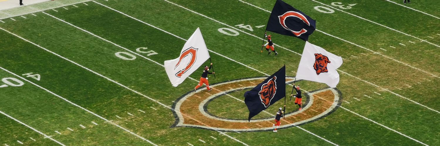 vicbear23's profile banner image