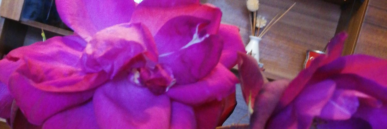 Alecuello's profile banner image