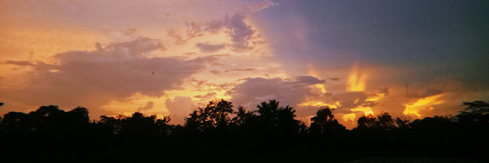 dinadprmtsr's profile banner image