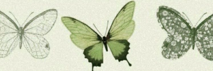 Suplyssy's profile banner image