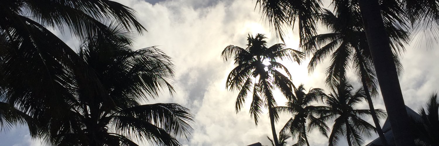 SashuhFierce's profile banner image